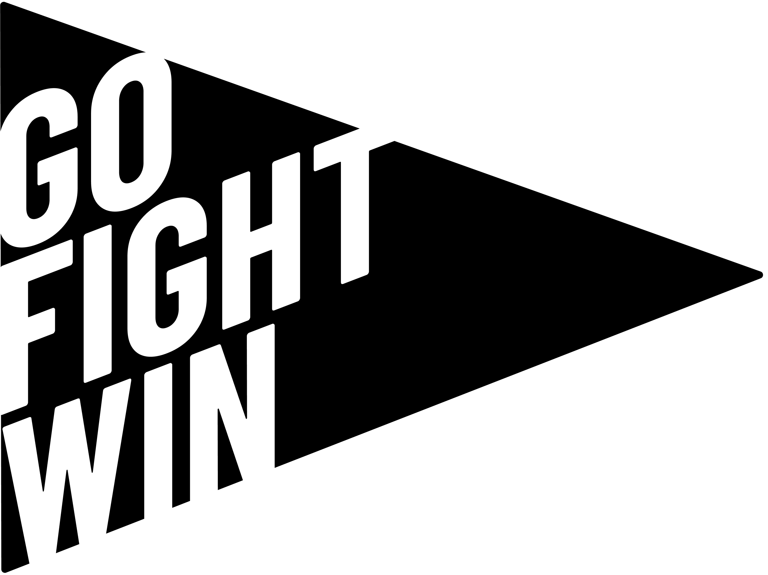 Go Fight Win